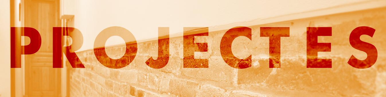 Projectes